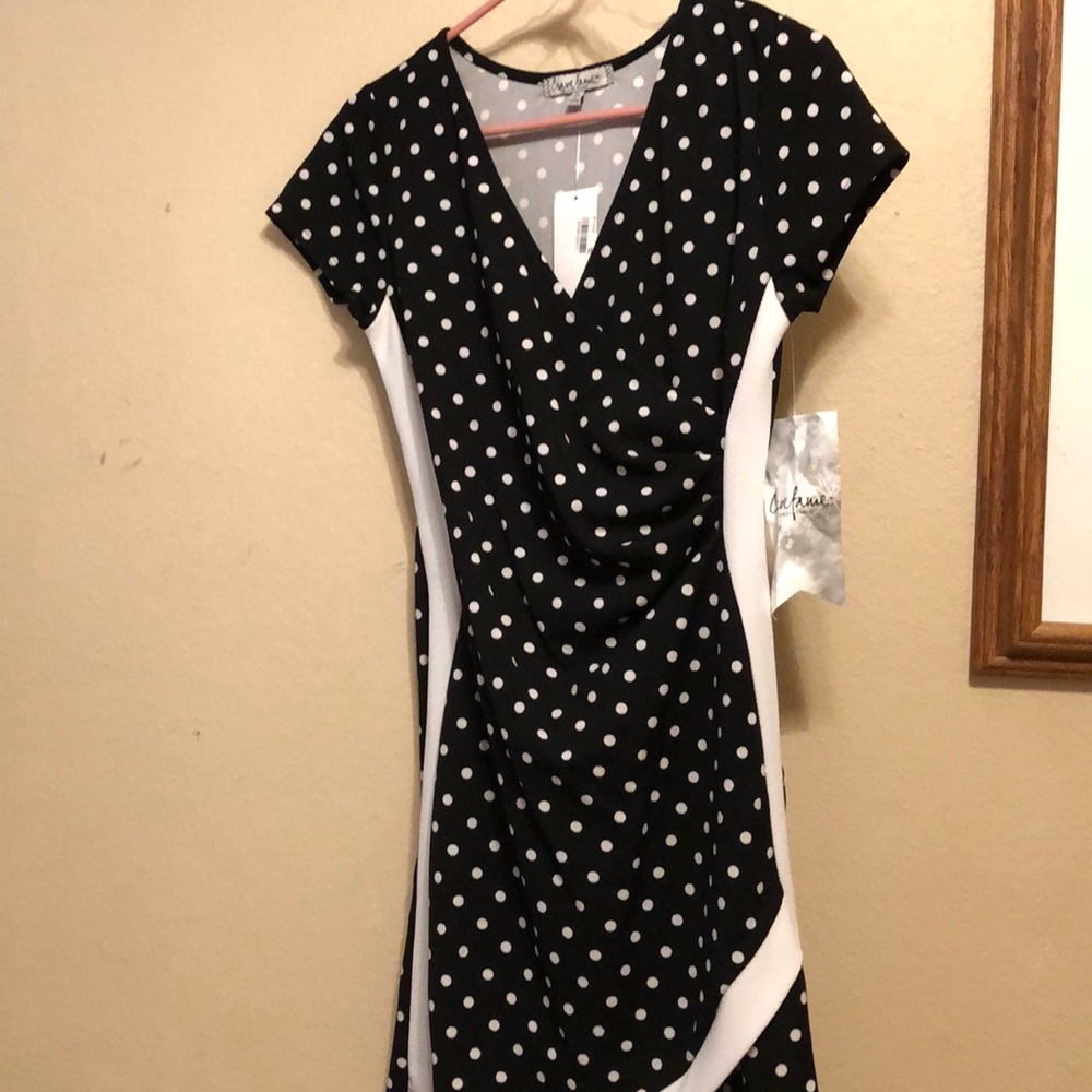 Black and white Polka dotted dress